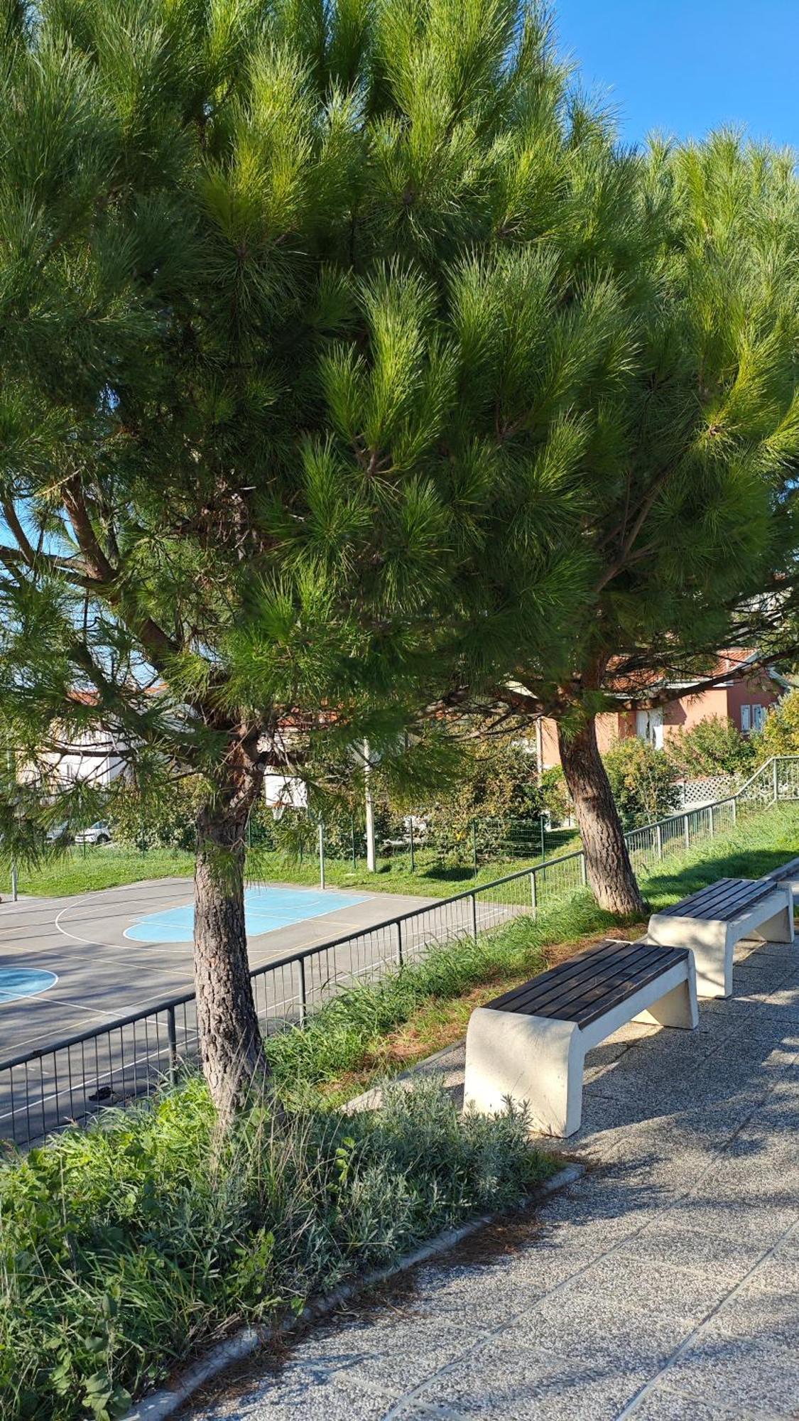 Apartments Tomisic Koper Bagian luar foto